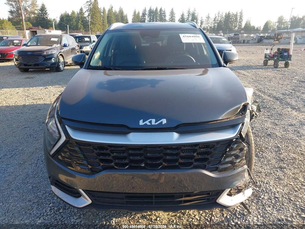 KNDPVCAG6P7059617 2023 KIA SPORTAGE HYBRID photo no. 12