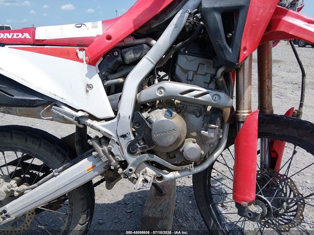 MLHND1610P5202959 2023 HONDA CRF300 photo no. 8