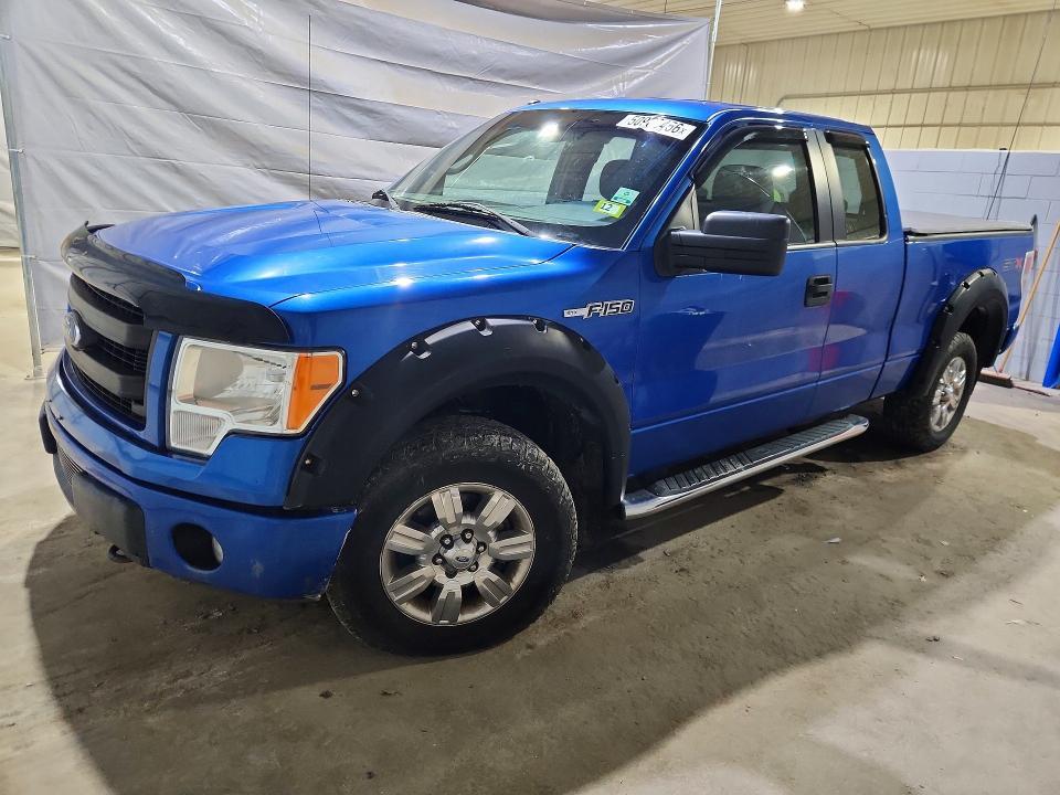 1FTFX1EF4DKF30216 2013 FORD F150 photo no. 1