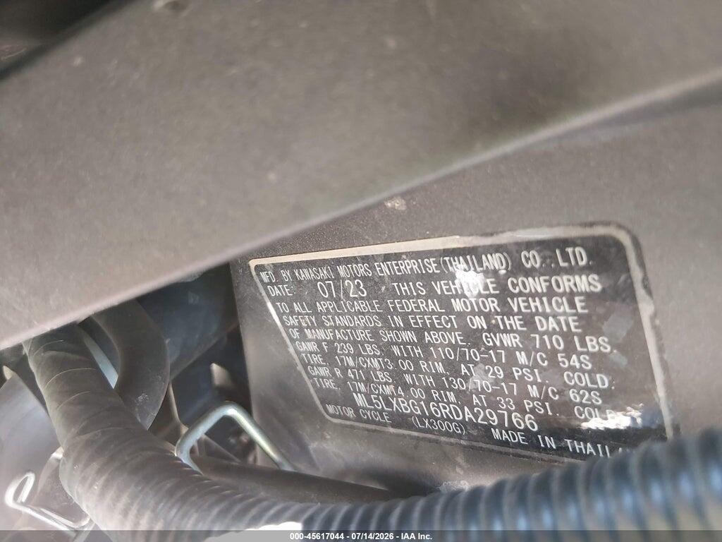 ML5LXBG16RDA29766 2024 KAWASAKI KLX300 photo no. 10