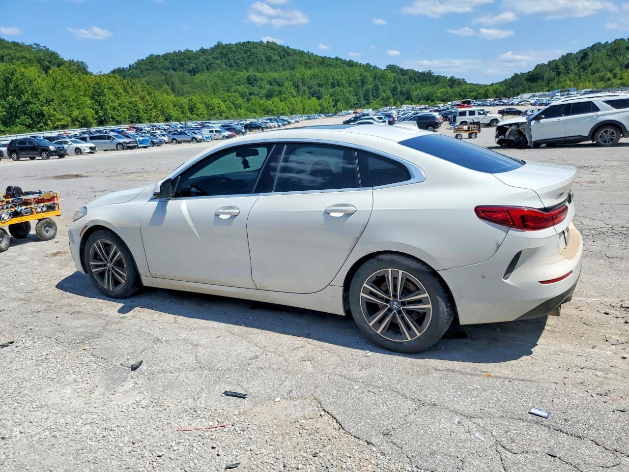 WBA73AK0XL7F50214 2020 BMW 228XI photo no. 2
