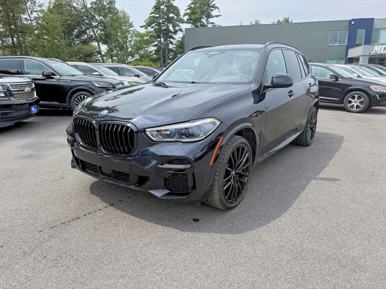 5UXCR6C01P9P73033 2023 BMW X5 photo no. 1