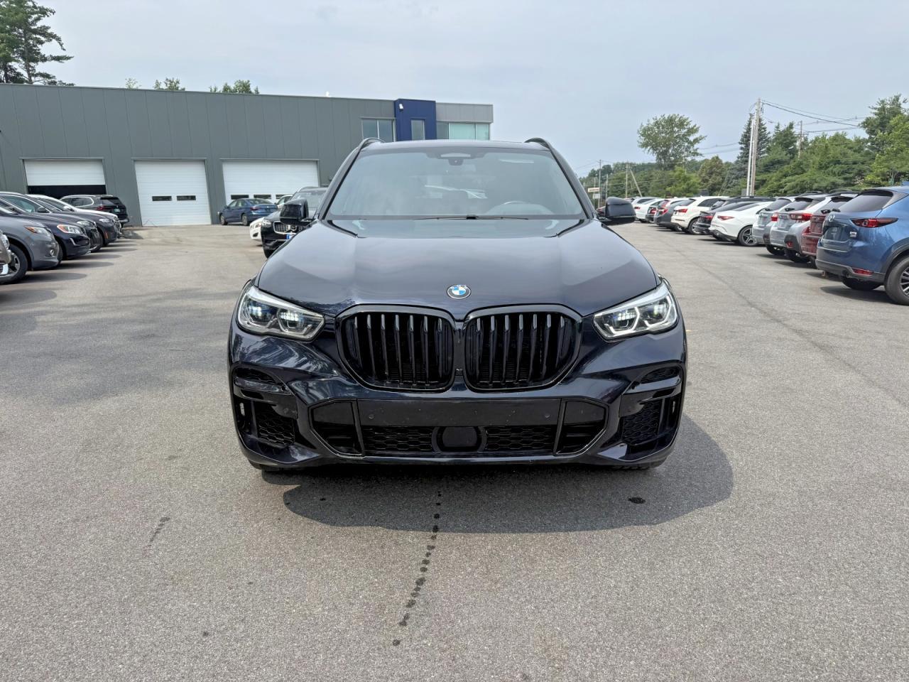 5UXCR6C01P9P73033 2023 BMW X5 photo no. 3