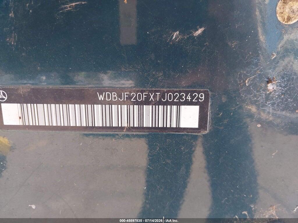 WDBJF20FXTJ023429 1996 MERCEDES-BENZ E photo no. 9