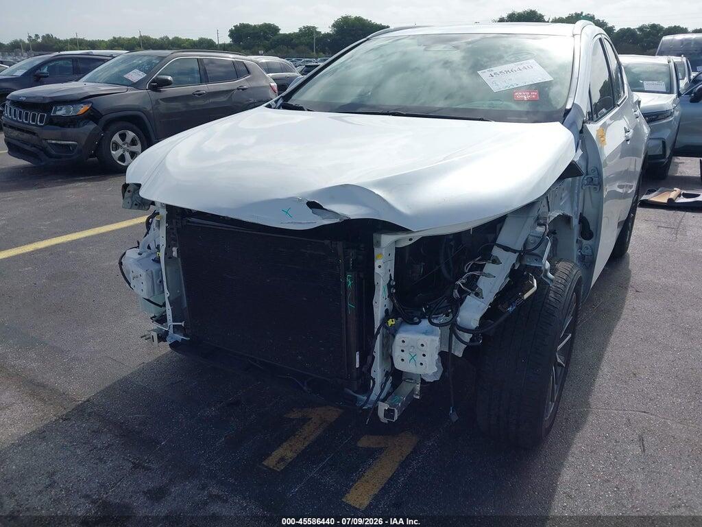 2T2GDCAZ4SC026591 2025 LEXUS NX 250 photo no. 6