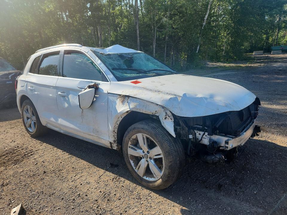 2019 AUDI Q5 PRESTIGE — Фото 4 из 13