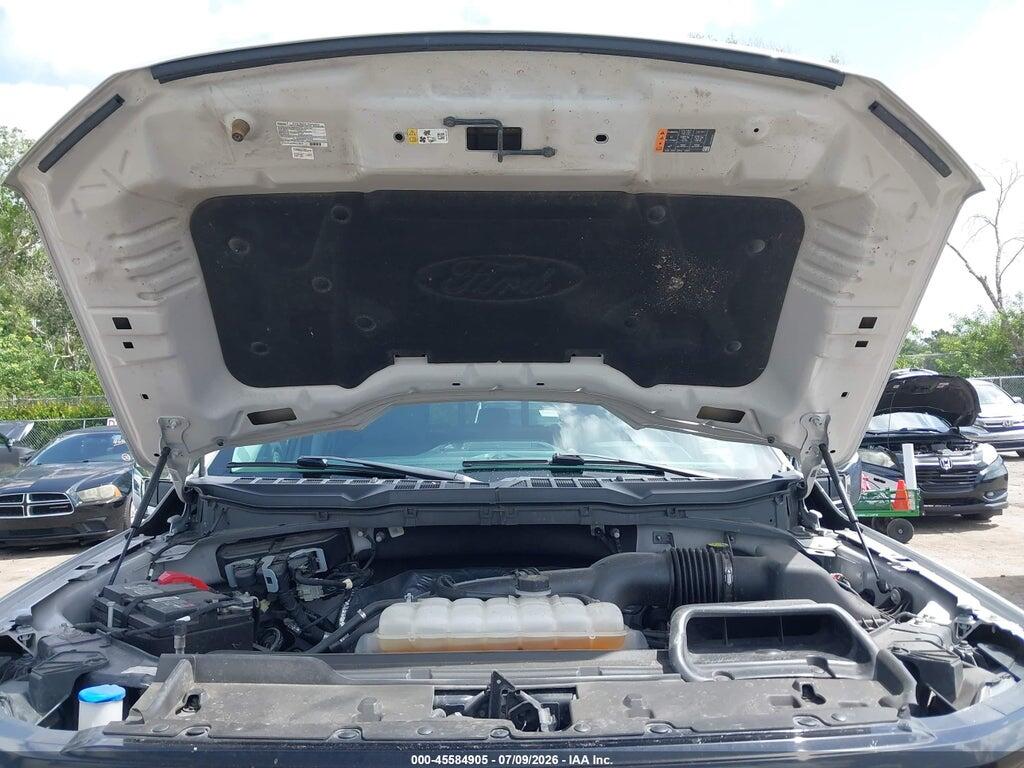 1FTEW3KP4RKD89842 2024 FORD F-150 photo no. 10