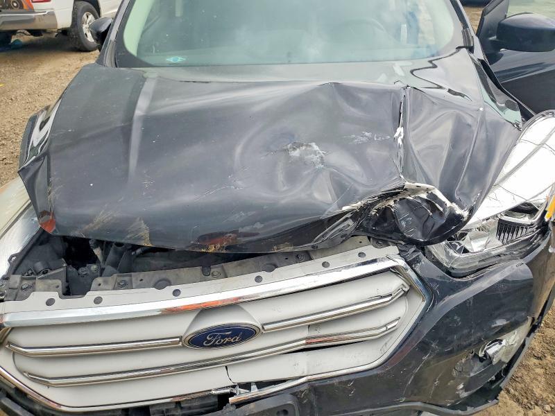1FMCU9HD8KUB16437 2019 FORD ESCAPE photo no. 12
