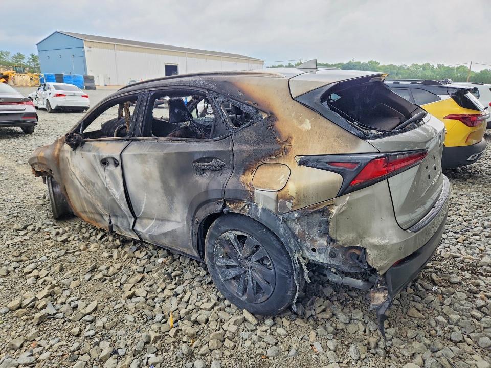 2019 LEXUS NX 300 BASE — Фото 2 из 11