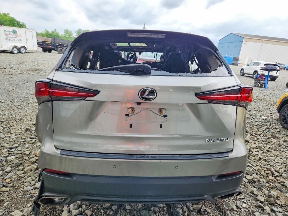 2019 LEXUS NX 300 BASE — Фото 6 из 11