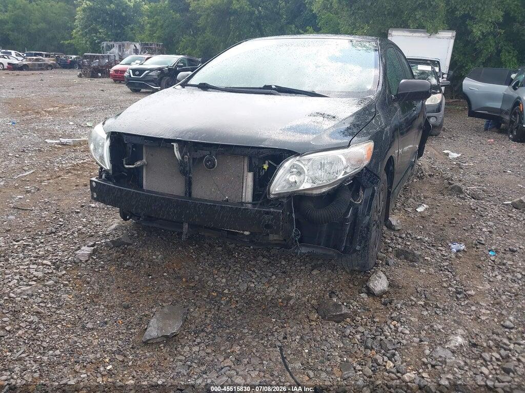 2T1BU4EEXAC532730 2010 TOYOTA COROLLA photo no. 6
