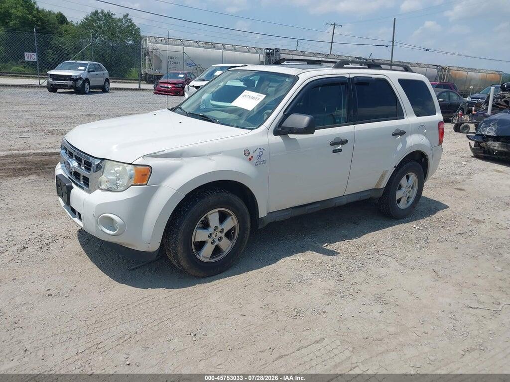 1FMCU0D74AKB61719 2010 FORD ESCAPE photo no. 2