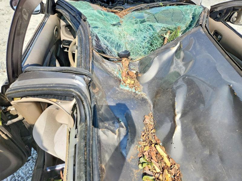 3N1CB51D56L554414 2006 NISSAN SENTRA photo no. 8