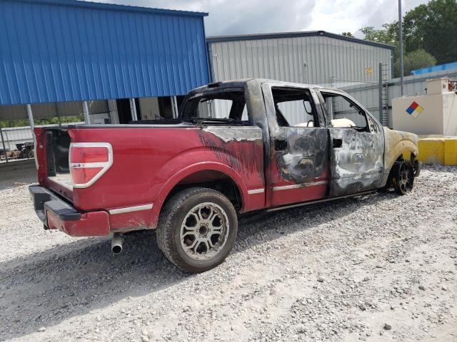 1FTFW1EV9AFD93904 2010 FORD F150 photo no. 3