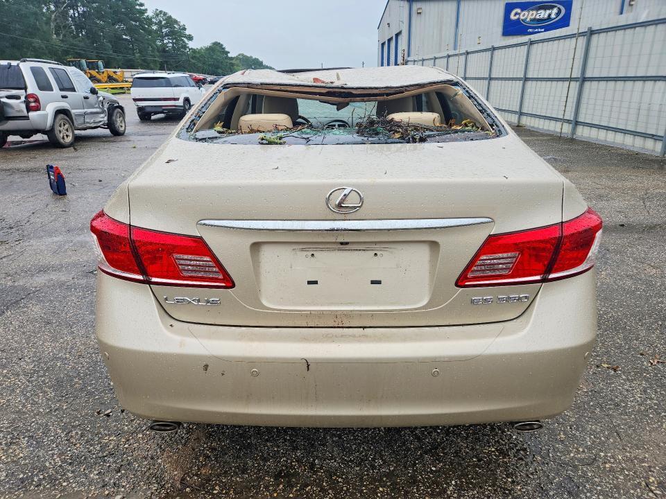 2010 LEXUS ES 350 — Фото 6 из 12