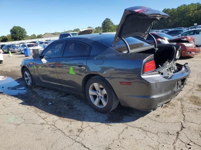 2C3CDXBG4DH631893 2013 DODGE CHARGER photo no. 2