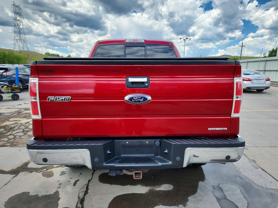 1FTFW1EF4EKF24162 2014 FORD F150 photo no. 6