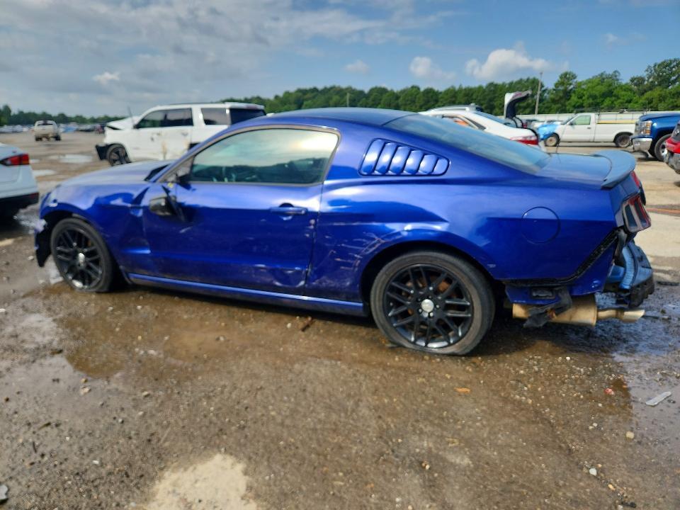 1ZVBP8AM8E5301725 2014 FORD MUSTANG photo no. 2