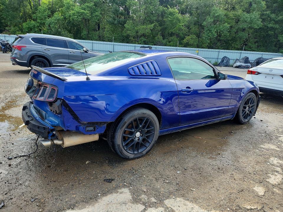 1ZVBP8AM8E5301725 2014 FORD MUSTANG photo no. 3
