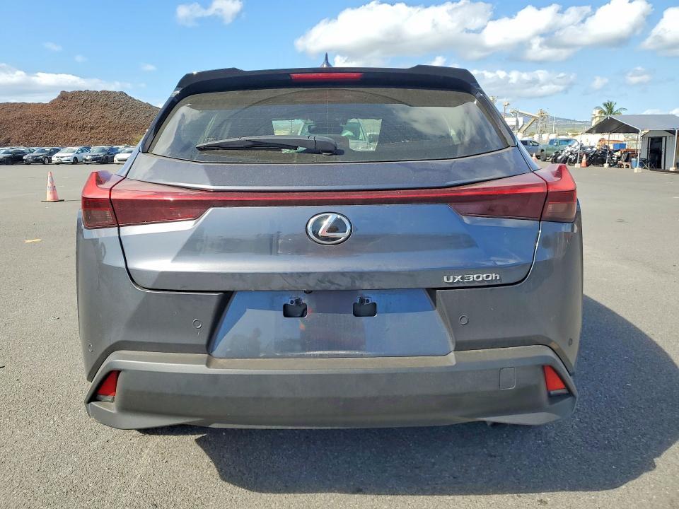 2025 LEXUS UX 300H BASE — Фото 6 из 14