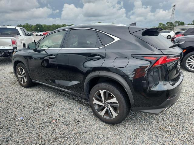 2021 LEXUS NX 300 BASE — Фото 2 из 13