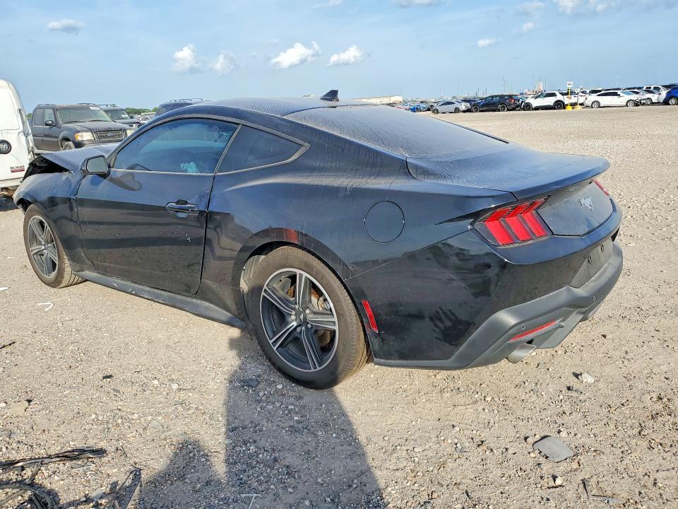 1FA6P8TH2R5137341 2024 FORD MUSTANG photo no. 2