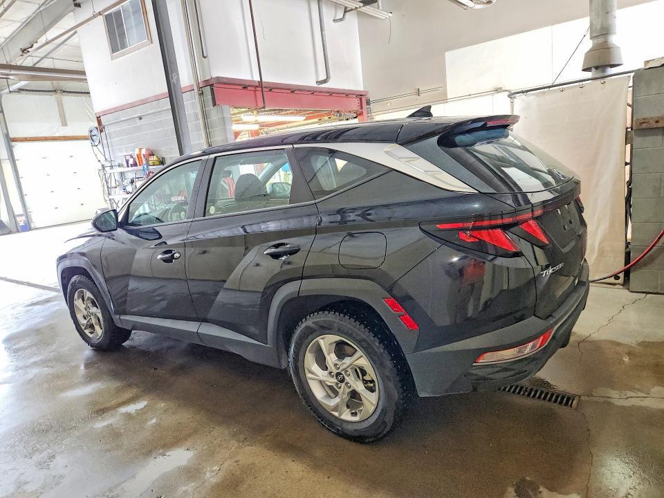 5NMJACDE2RH359789 2024 HYUNDAI TUCSON photo no. 2