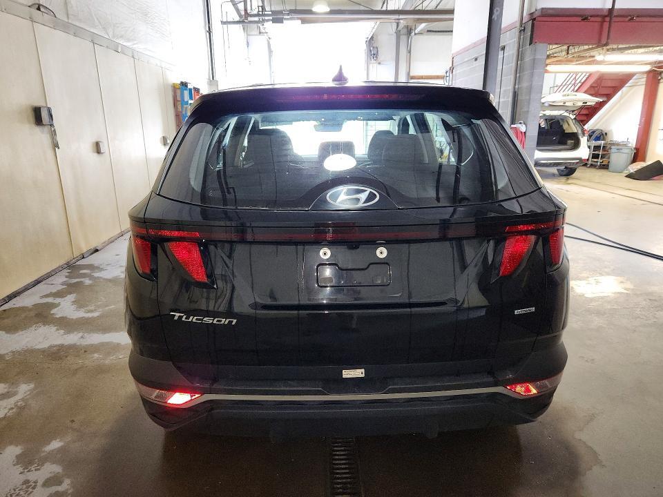 5NMJACDE2RH359789 2024 HYUNDAI TUCSON photo no. 6
