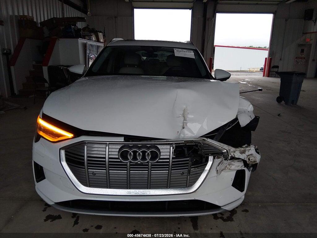 WA1LAAGEXKB024227 2019 AUDI E-TRON photo no. 12