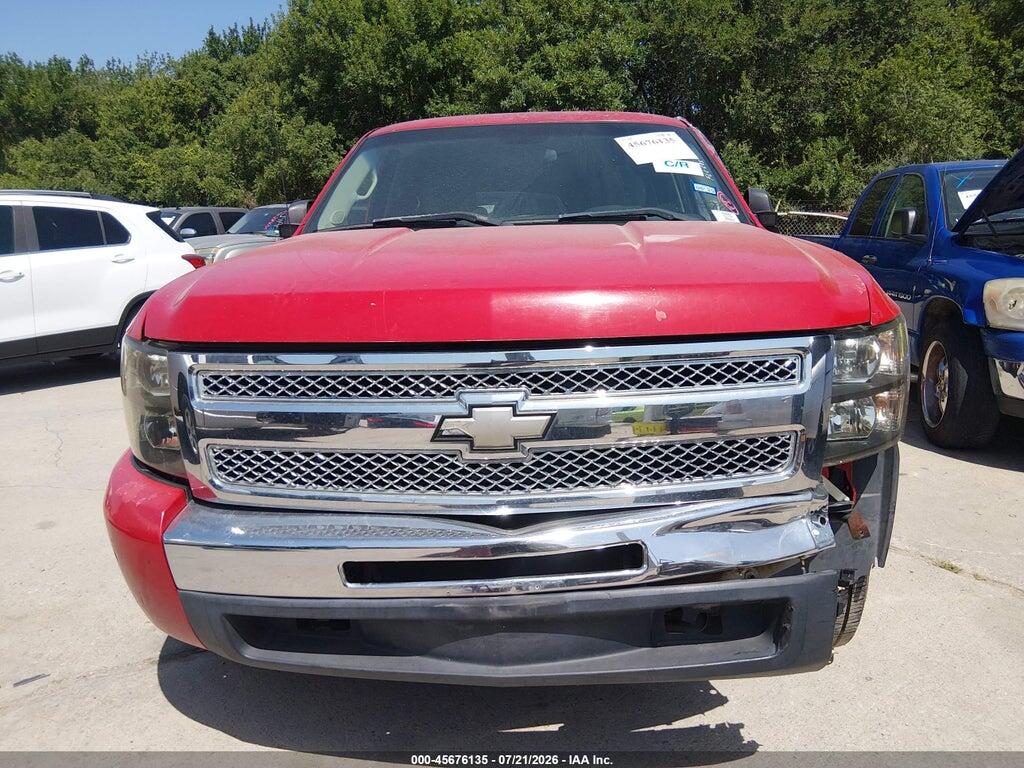 3GCRCSEA6AG123732 2010 CHEVROLET SILVERADO 1500 photo no. 12