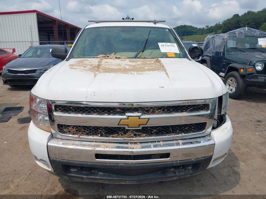 1GCSKSE32AZ270216 2010 CHEVROLET SILVERADO 1500 photo no. 12