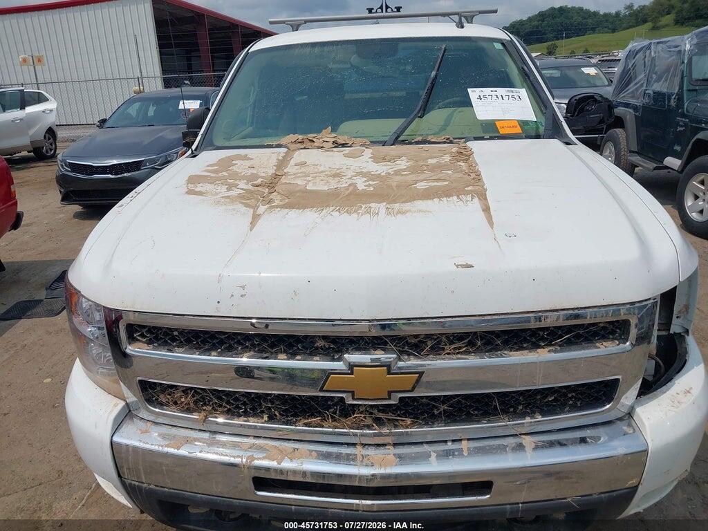 1GCSKSE32AZ270216 2010 CHEVROLET SILVERADO 1500 photo no. 6