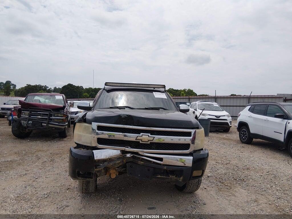 1GCSKSE35AZ204100 2010 CHEVROLET SILVERADO 1500 photo no. 12