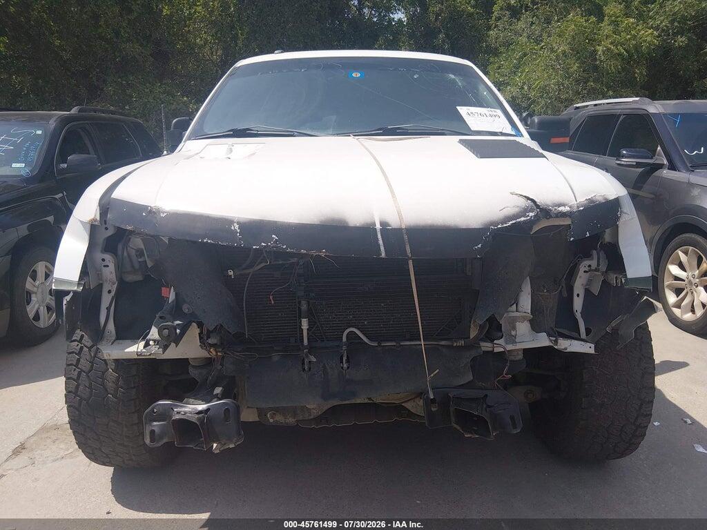 1FTEX1E64AFB94678 2010 FORD F-150 photo no. 12