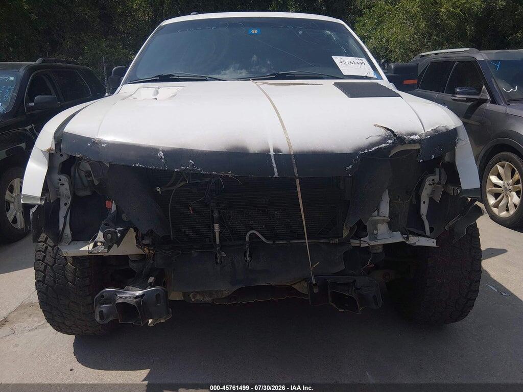 1FTEX1E64AFB94678 2010 FORD F-150 photo no. 6