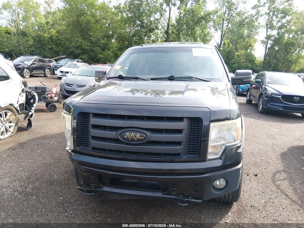 1FTFW1EV3AFB85131 2010 FORD F-150 photo no. 12