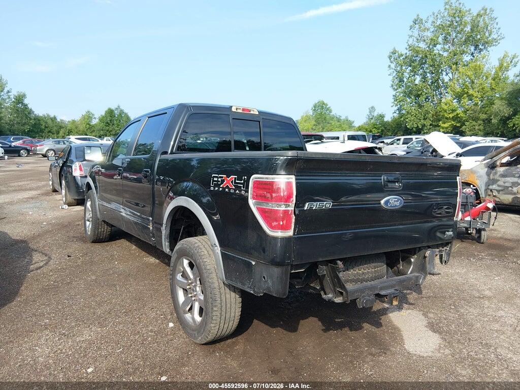 1FTFW1EV3AFB85131 2010 FORD F-150 photo no. 3