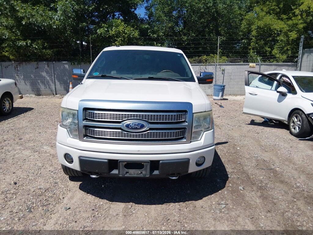 1FTFW1EV5AFB39459 2010 FORD F-150 photo no. 12