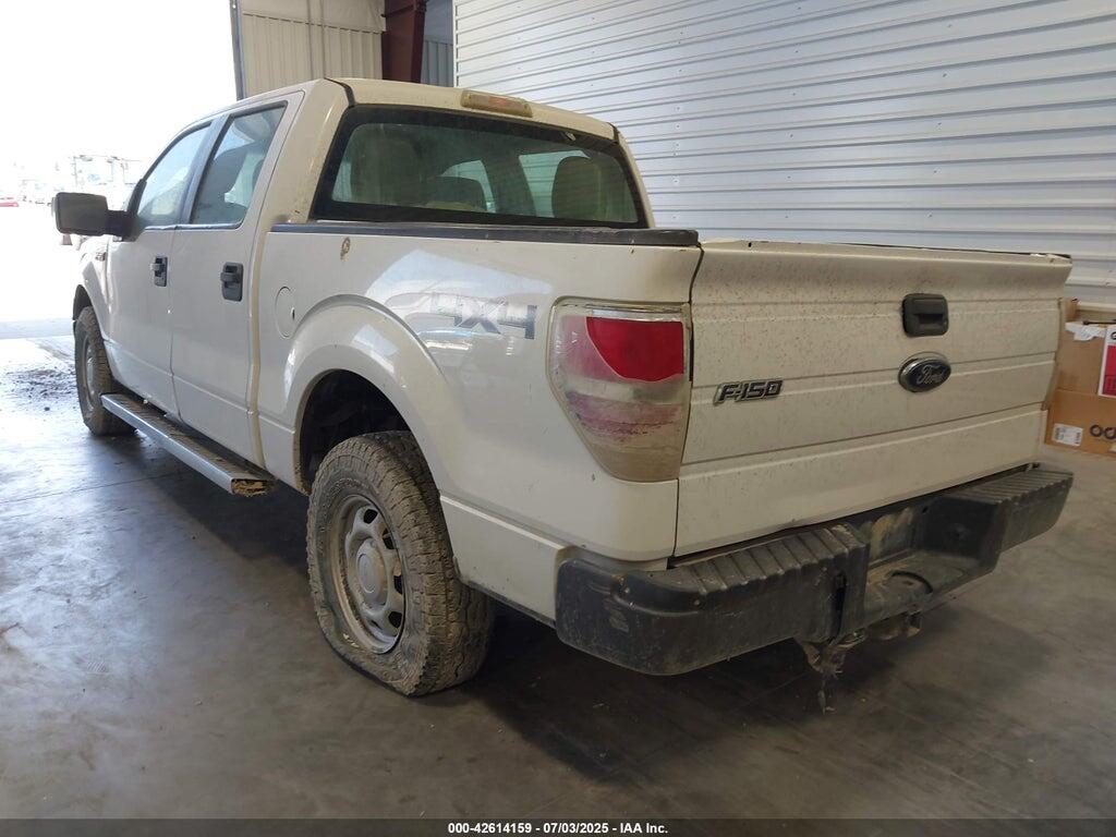 1FTEW1E8XAFC98418 2010 FORD F-150 photo no. 3