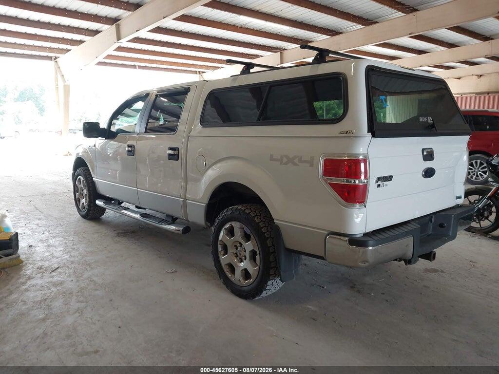 1FTFW1EV6AFA69132 2010 FORD F-150 photo no. 3