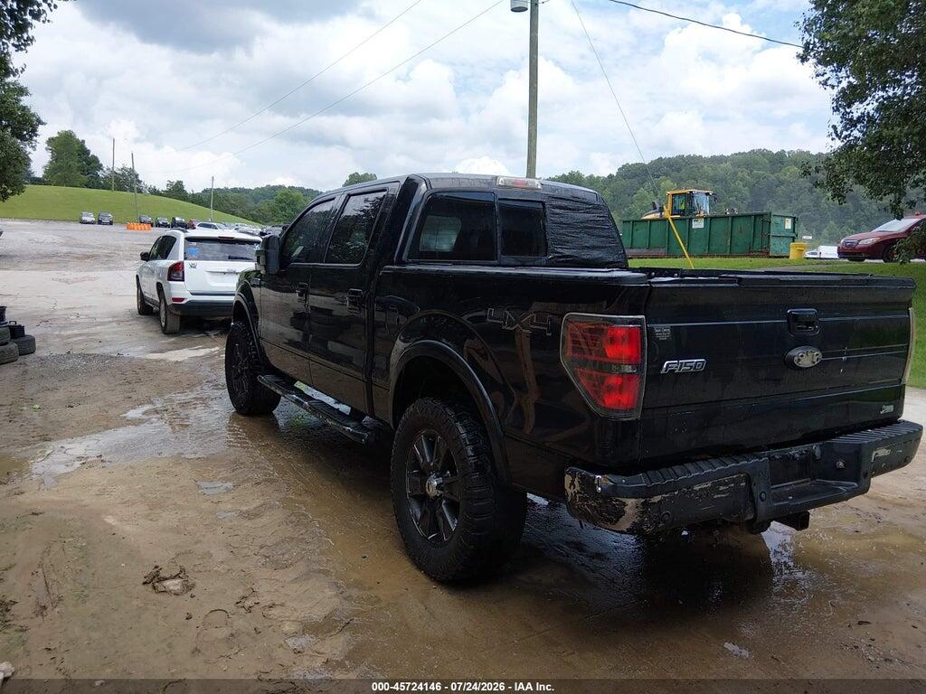 1FTFW1EV3AFC80983 2010 FORD F-150 photo no. 3