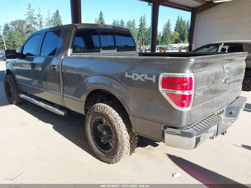 1FTFW1EV0AFC38223 2010 FORD F-150 photo no. 3