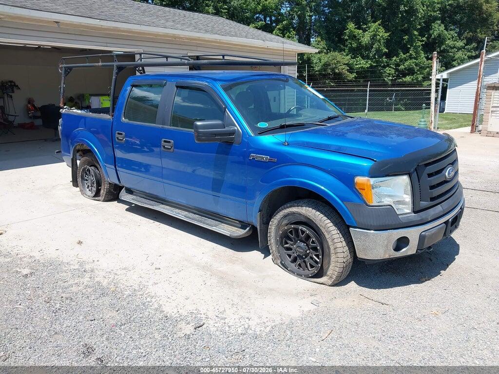 1FTEW1E8XAFD00619 2010 FORD F-150 photo no. 1