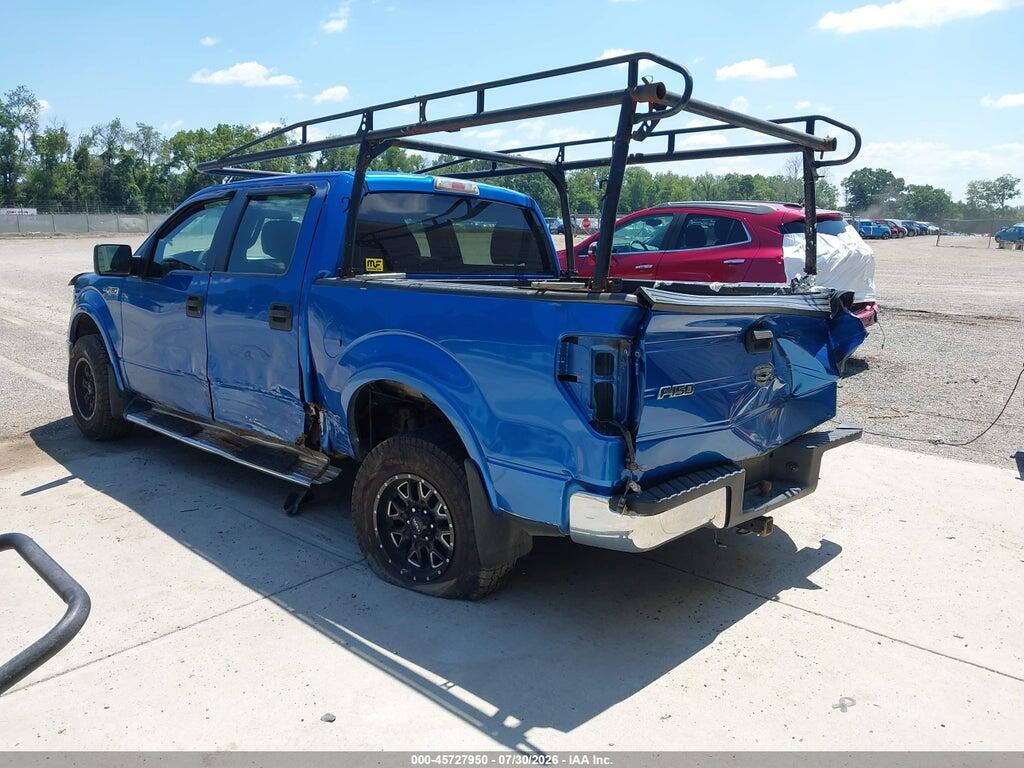 1FTEW1E8XAFD00619 2010 FORD F-150 photo no. 3