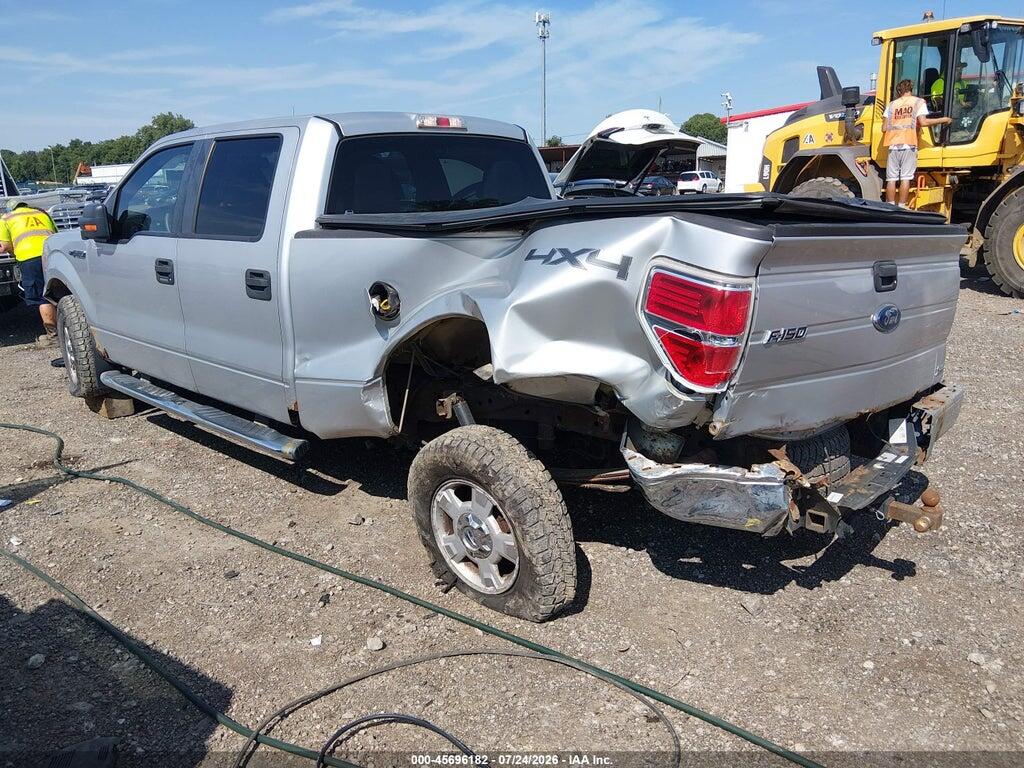 1FTFW1EV2AFC34495 2010 FORD F-150 photo no. 3