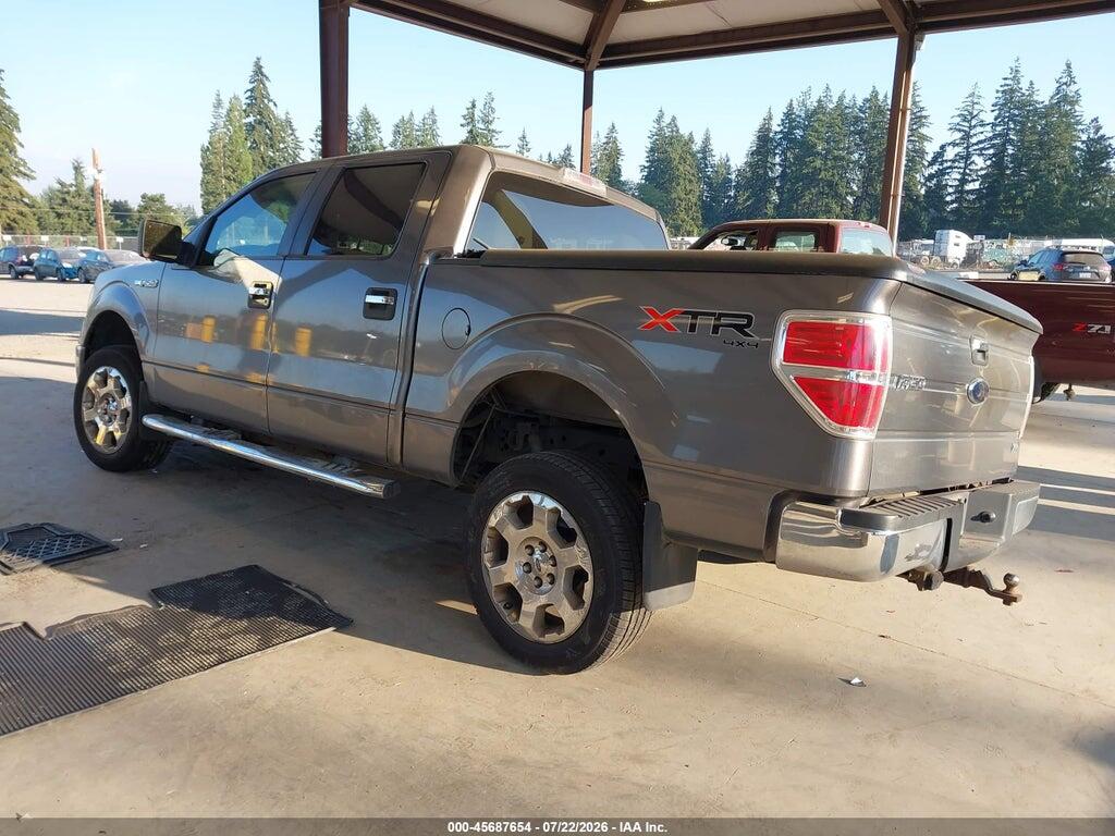1FTFW1EV3AFA38937 2010 FORD F-150 photo no. 3