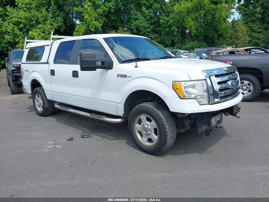1FTEW1E86AFD19250 2010 FORD F-150 photo no. 1