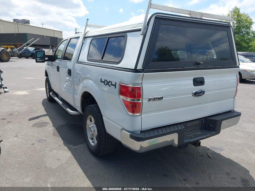 1FTEW1E86AFD19250 2010 FORD F-150 photo no. 3