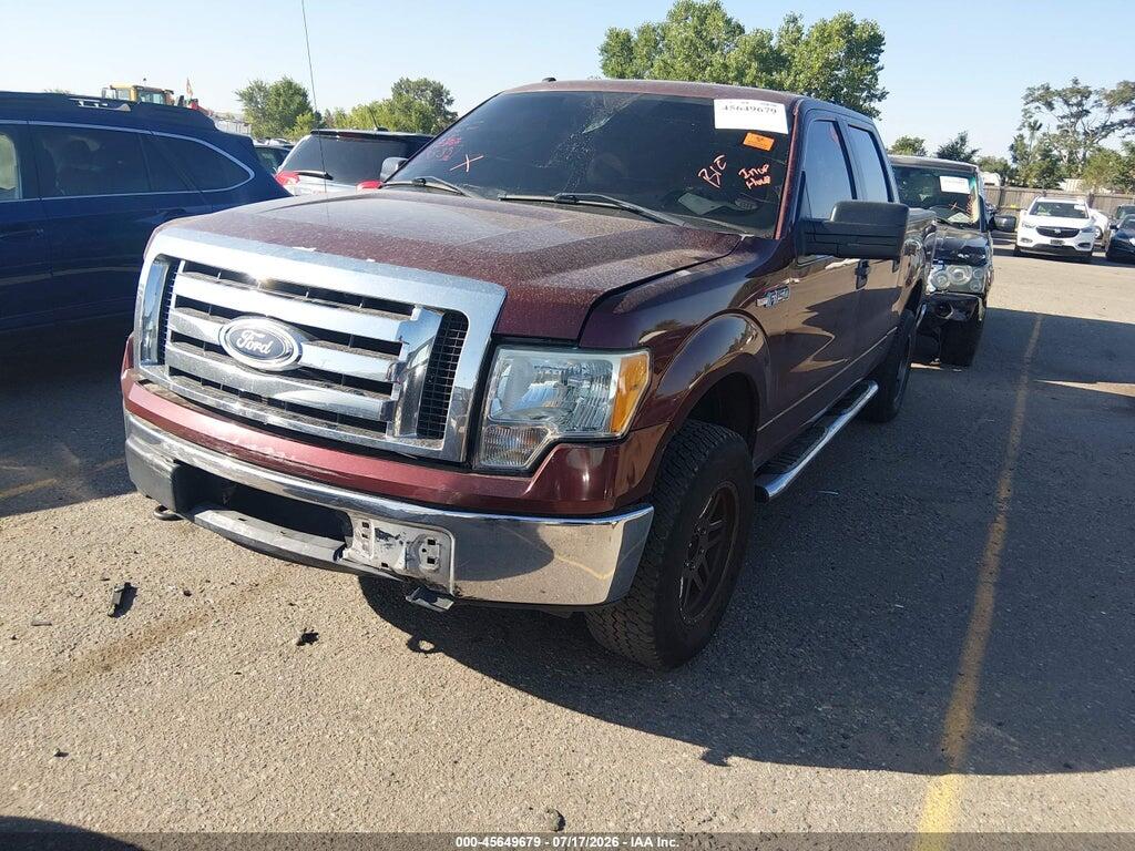 1FTFW1EV3AFD91338 2010 FORD F-150 photo no. 12