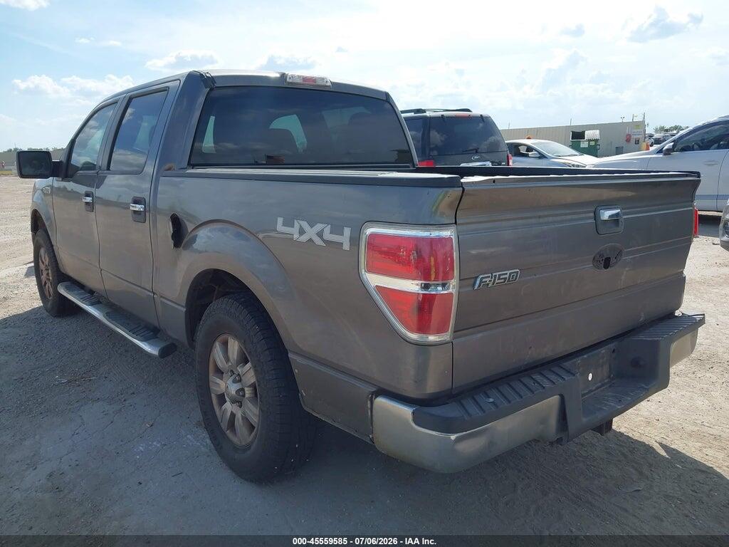 1FTEW1E87AFA04375 2010 FORD F-150 photo no. 3